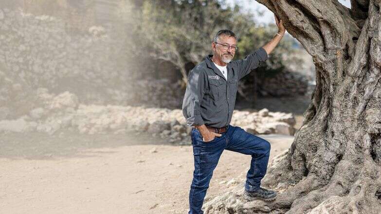 מורשת וקרב | נעמה שטרן