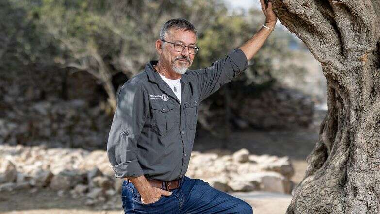 מורשת וקרב דף הבית | נעמה שטרן מורשת וקרב דף הבית | נעמה שטרן