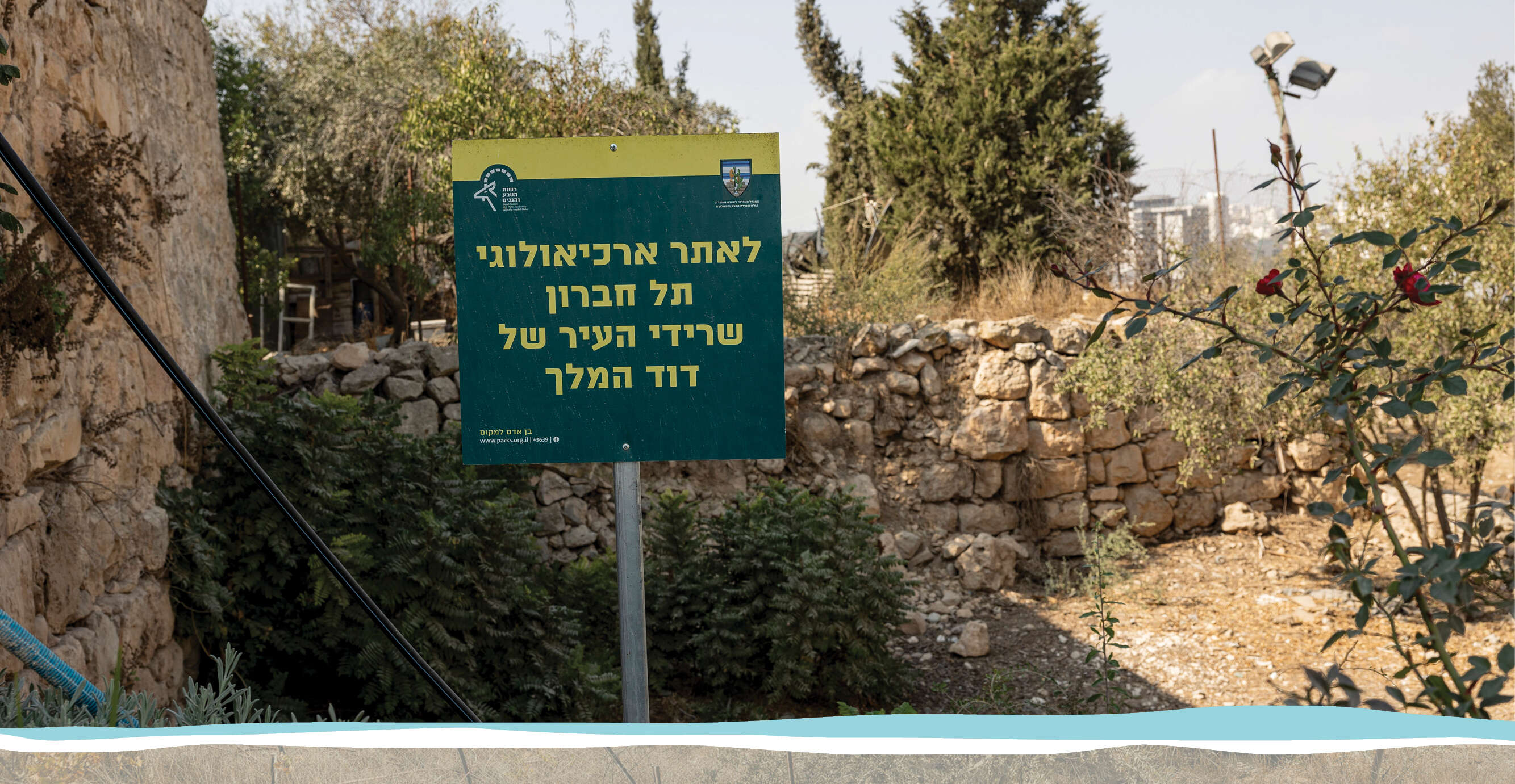 נעמה שטרן נעמה שטרן