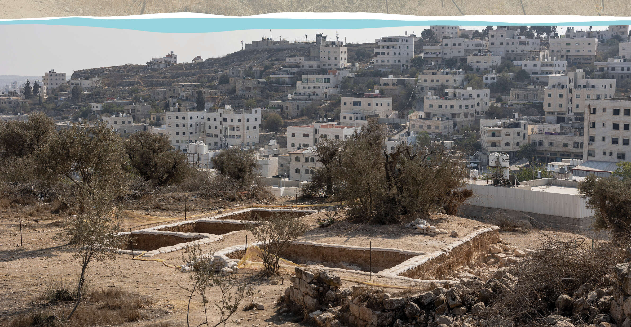 נעמה שטרן נעמה שטרן