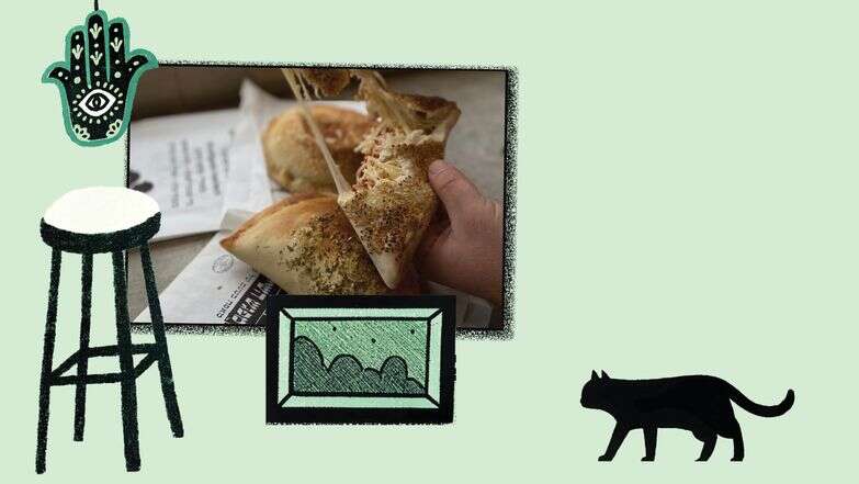 חתוליות אזור המשולש | ג'ו ונאוה חתוליות אזור המשולש | ג'ו ונאוה