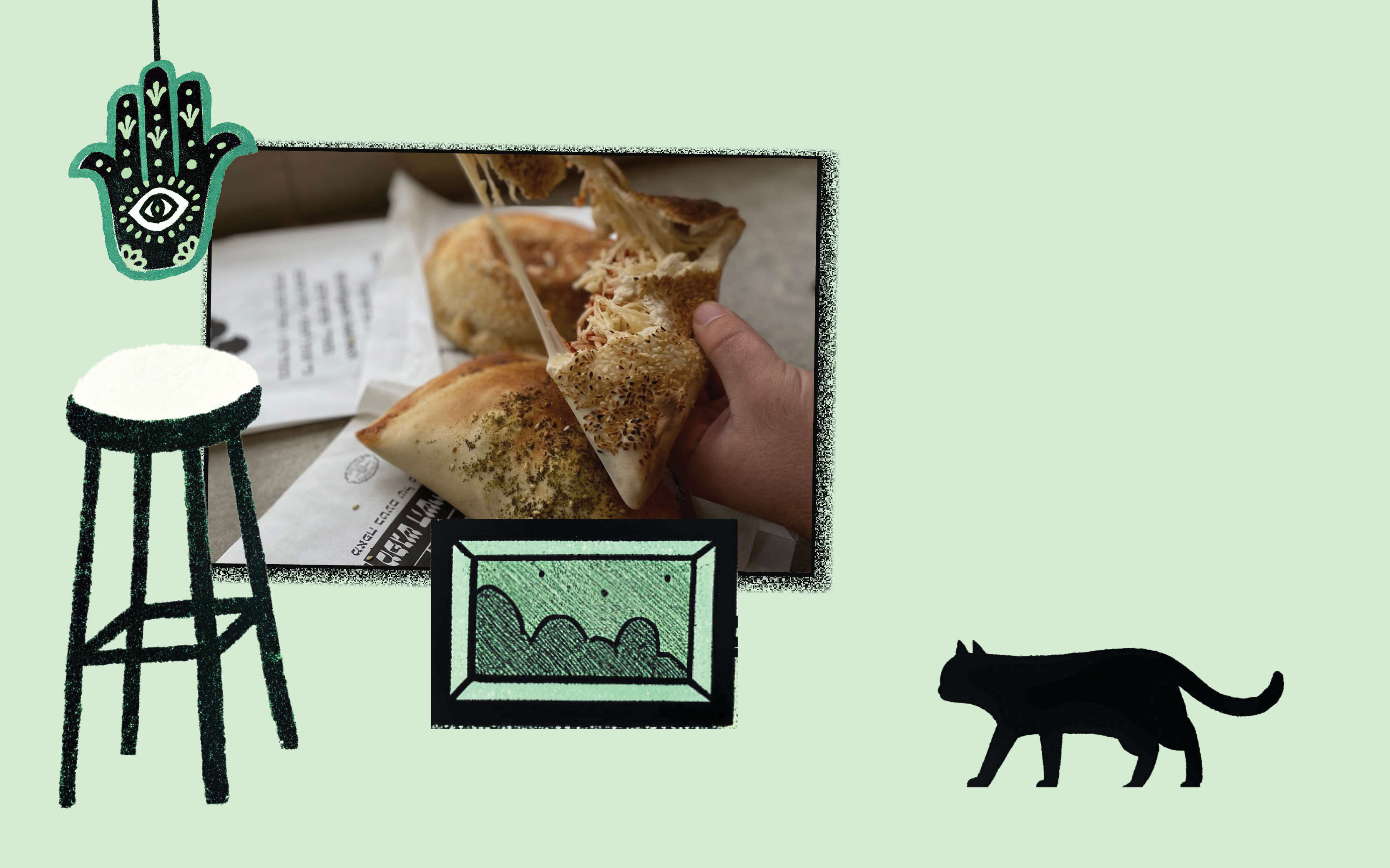 חתוליות אזור המשולש | ג'ו ונאוה חתוליות אזור המשולש | ג'ו ונאוה