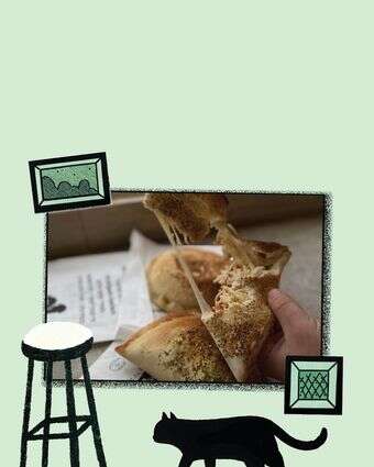 חתוליות אזור המשולש | ג'ו ונאוה חתוליות אזור המשולש | ג'ו ונאוה