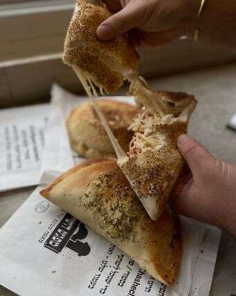 חתוליות אזור המשולש דף הבית | ג'ו ונאוה חתוליות אזור המשולש דף הבית | ג'ו ונאוה