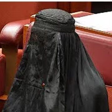 חברת הפרלמנט האוסטרלית פאולין הנסון | צילום מסך מיוטיוב