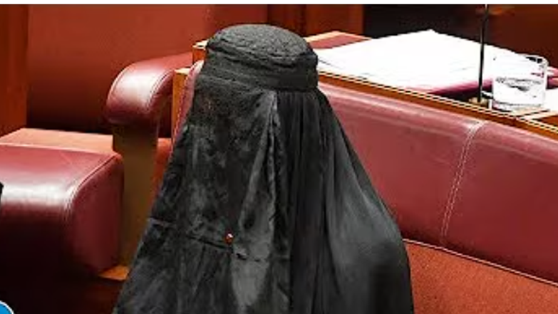 חברת הפרלמנט האוסטרלית פאולין הנסון | צילום מסך מיוטיוב