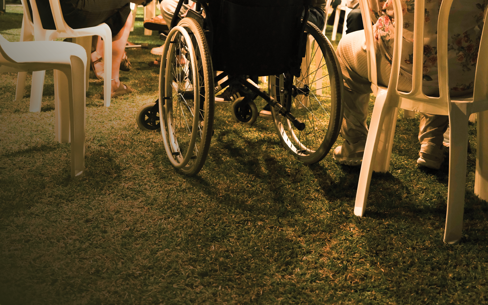 אלדמע מילשטיין, איור: דגנית רודובסקי אלדמע מילשטיין, איור: דגנית רודובסקי