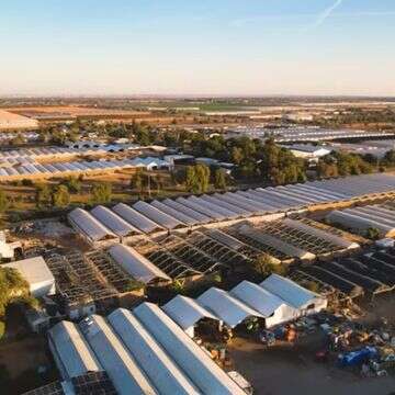 מושב יתד | מסך מיוטיוב מושב יתד | מסך מיוטיוב