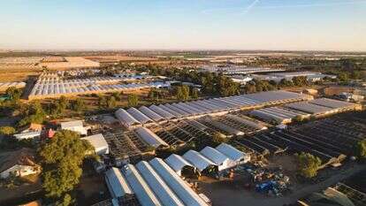 מושב יתד | מסך מיוטיוב מושב יתד | מסך מיוטיוב