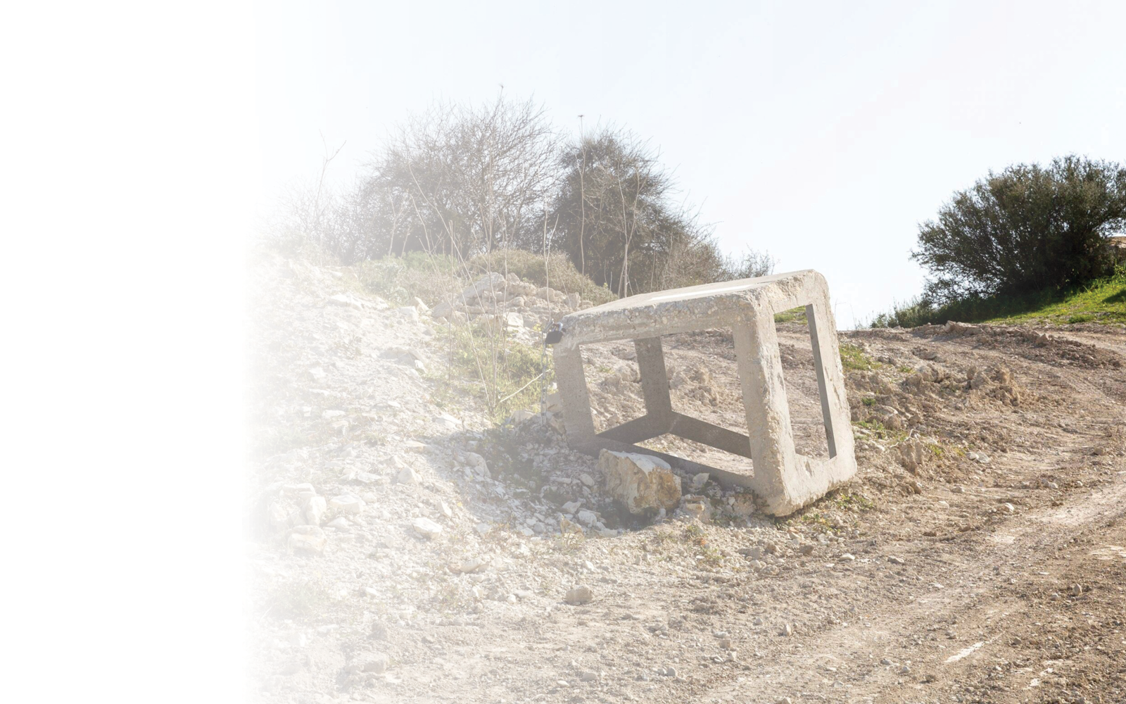 כרמית חסין 2023 כרמית חסין 2023