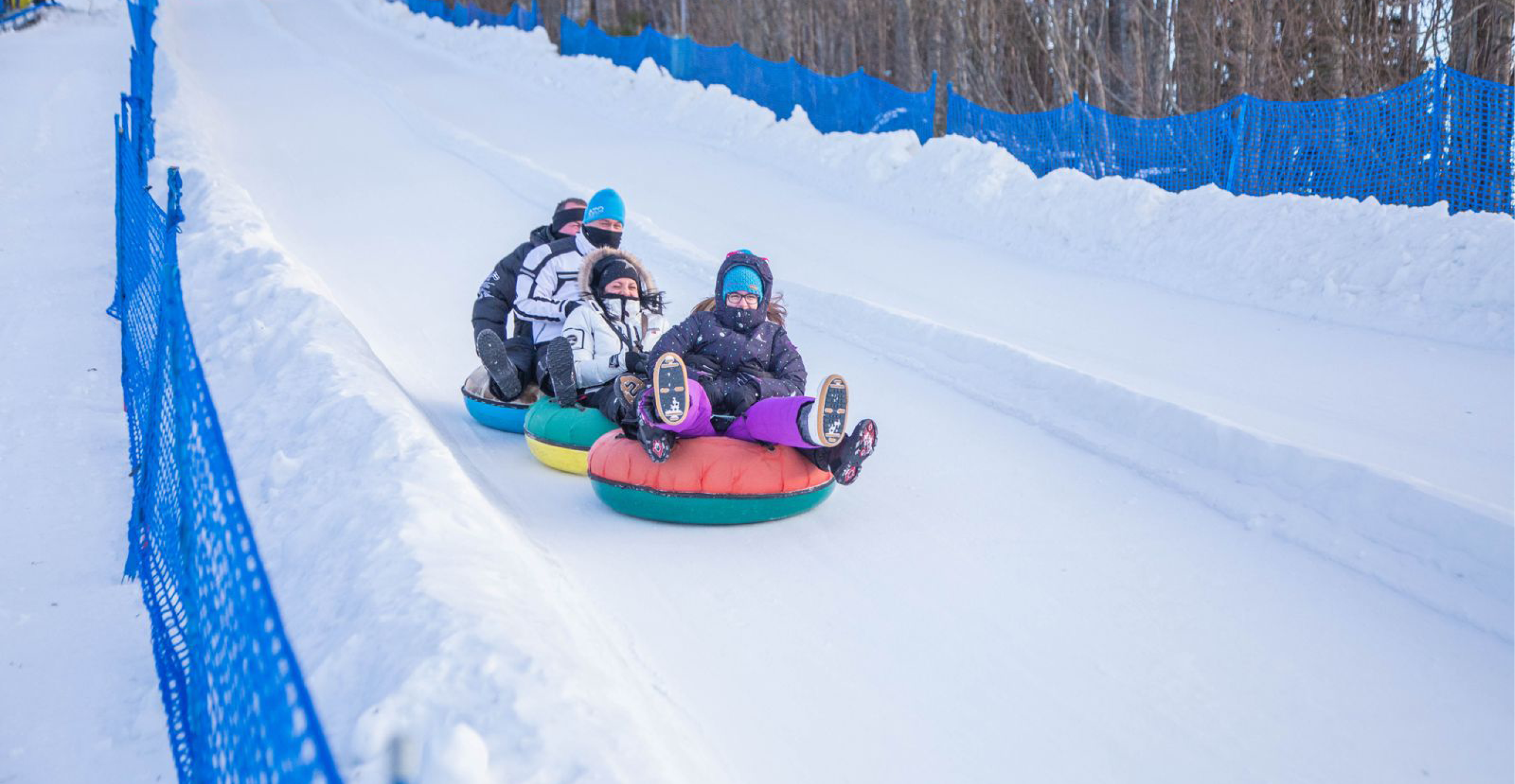 פולגריה | באדיבות דיזנהאוז