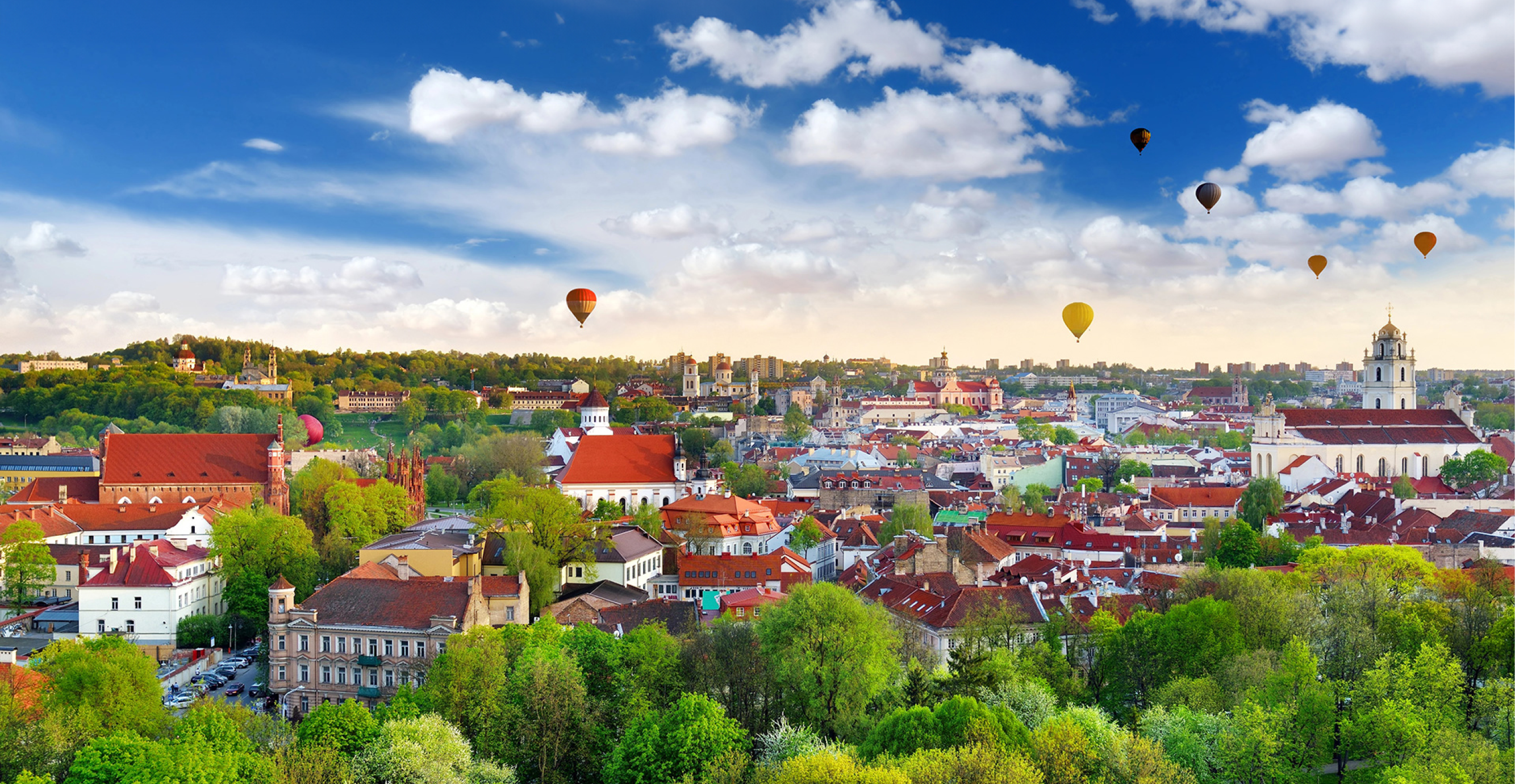 וילנה | באדיבות דיזנהאוז
