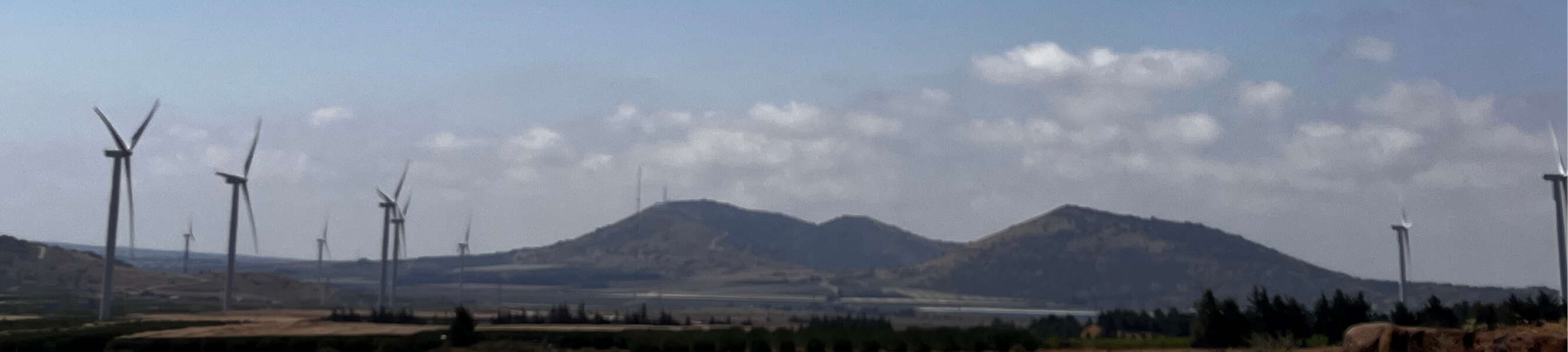 נדב חיימוביץ', החברה להגנת הטבע נדב חיימוביץ', החברה להגנת הטבע