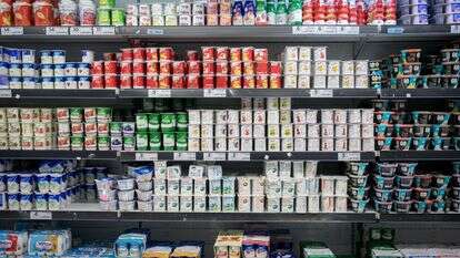 המדפים מלאים. מוצרי חלב בסופר | מרים אלסטר, פלאש 90 המדפים מלאים. מוצרי חלב בסופר | מרים אלסטר, פלאש 90