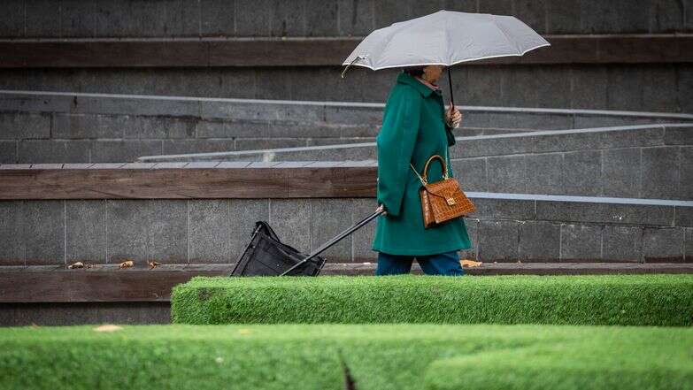 גשם בירושלים | יונתן זינדל / פלאש 90 גשם בירושלים | יונתן זינדל / פלאש 90