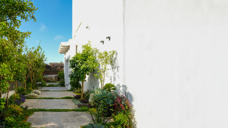 גינה לי חביבה | עינת גזית, תכנון גינונים-תכנון והקמת גינות