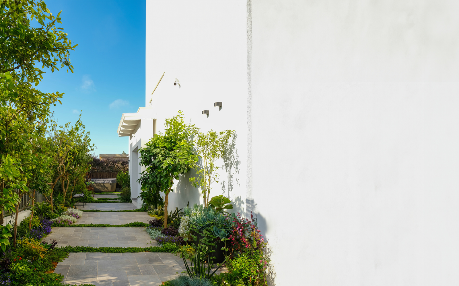 גינה לי חביבה | עינת גזית, תכנון גינונים-תכנון והקמת גינות גינה לי חביבה | עינת גזית, תכנון גינונים-תכנון והקמת גינות