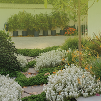 עינת גזית, תכנון גינונים-תכנון והקמת גינות