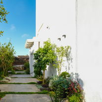 גינה לי חביבה- דף הבית | עינת גזית, תכנון גינונים-תכנון והקמת גינות גינה לי חביבה- דף הבית | עינת גזית, תכנון גינונים-תכנון והקמת גינות