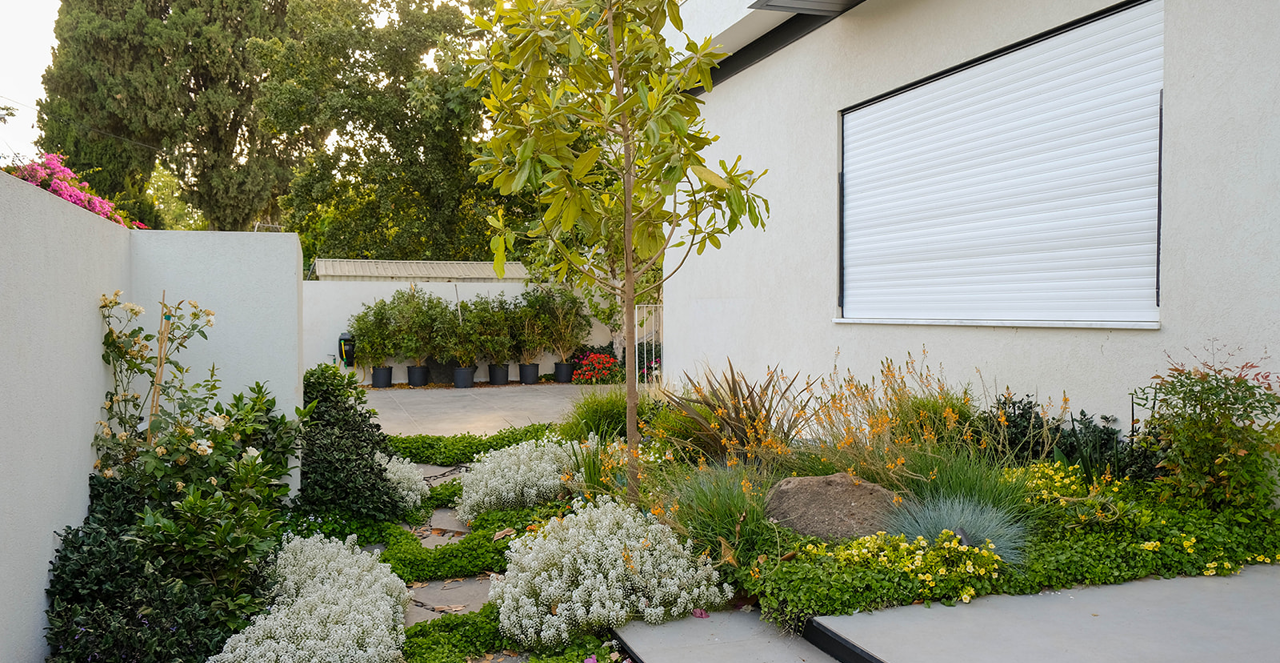 גינה לי חביבה | עינת גזית, תכנון גינונים-תכנון והקמת גינות גינה לי חביבה | עינת גזית, תכנון גינונים-תכנון והקמת גינות