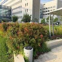 בית החולים אסותא אשדוד | אסותא אשדוד בית החולים אסותא אשדוד | אסותא אשדוד