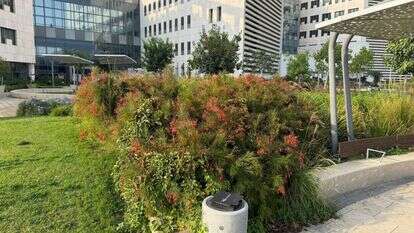 בית החולים אסותא אשדוד | אסותא אשדוד בית החולים אסותא אשדוד | אסותא אשדוד