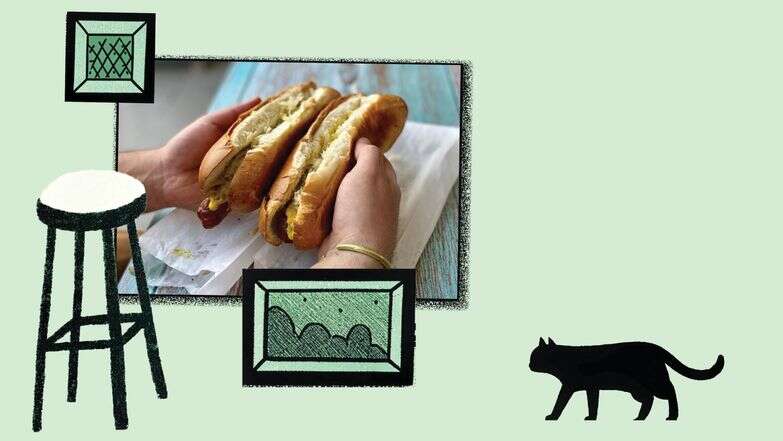 חתוליות תביא קצת דנירוס | ג'ו ונאוה