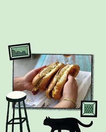 חתוליות תביא קצת דנירוס | ג'ו ונאוה