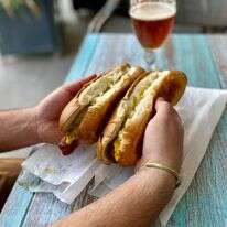 חתוליות תביא קצת דנירוס דף הבית | ג'ו ונאוה חתוליות תביא קצת דנירוס דף הבית | ג'ו ונאוה