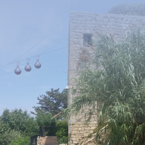 חיפה החופש שלי | צ'ק אין אאוט