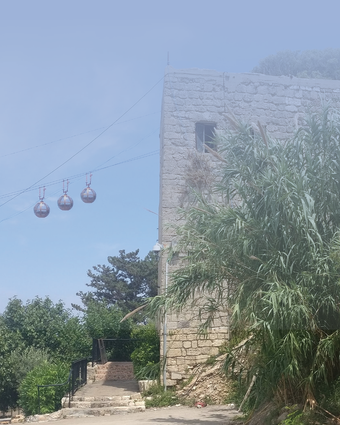 חיפה החופש שלי | צ'ק אין אאוט