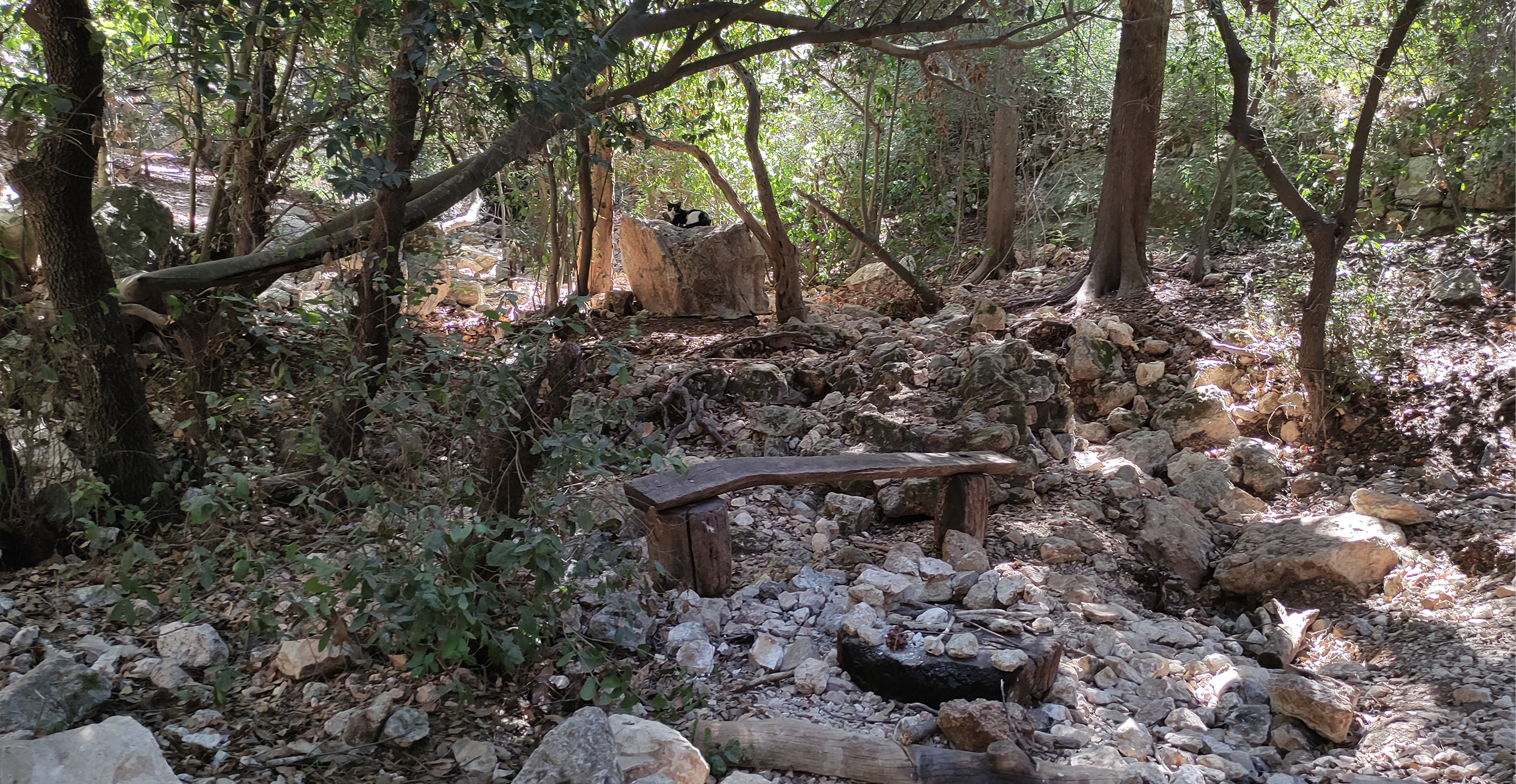 צ'ק אין אאוט צ'ק אין אאוט