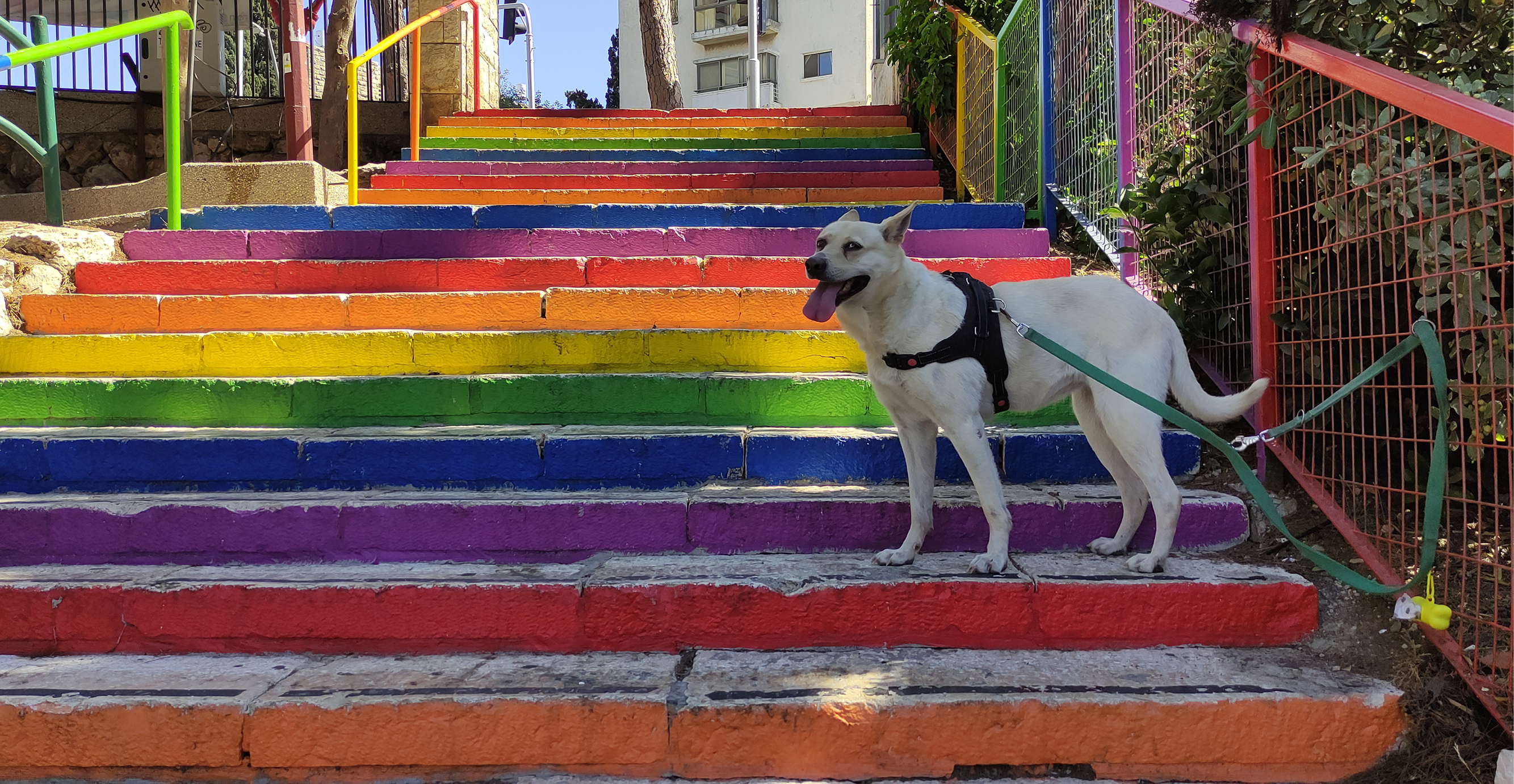 צ'ק אין אאוט צ'ק אין אאוט