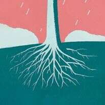 על הדבש ועל העוקץ דף הבית | ללא על הדבש ועל העוקץ דף הבית | ללא