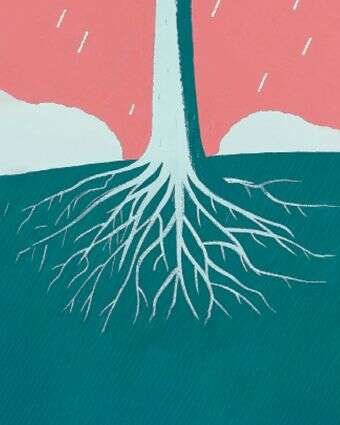 על הדבש ועל העוקץ דף הבית | ללא