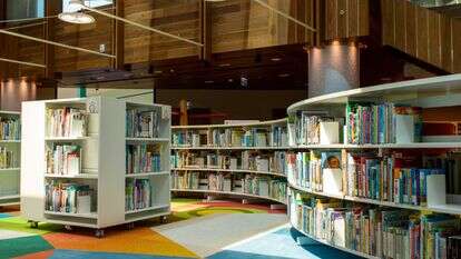 שאטרסטוק שאטרסטוק