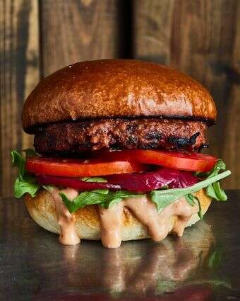 בנץ ברדרס בורגר רידיפיין | יח"צ