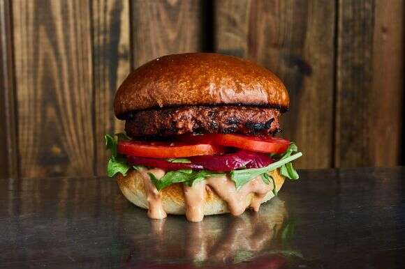 בנץ ברדרס בורגר רידיפיין | יח"צ בנץ ברדרס בורגר רידיפיין | יח"צ