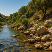 נוצר באמצעות ChatGPT