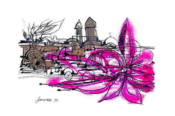 ירושלים | כפיר זיו ירושלים | כפיר זיו