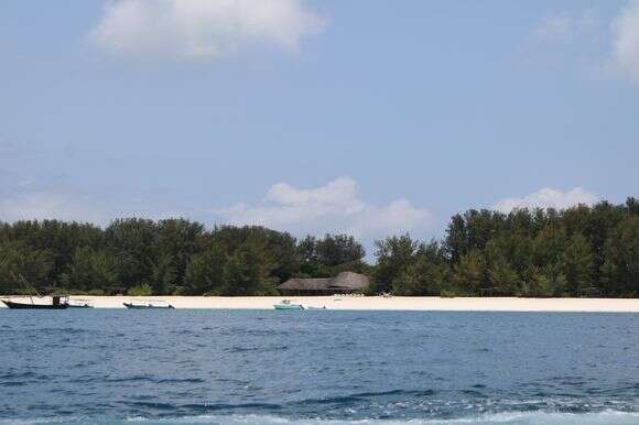 חופי זנזיבר | Itayedberg חופי זנזיבר | Itayedberg