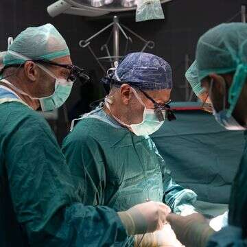 השתלת המעי בבית החולים בילינסון | דוברות בית החולים בילינסון השתלת המעי בבית החולים בילינסון | דוברות בית החולים בילינסון