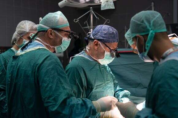 השתלת המעי בבית החולים בילינסון | דוברות בית החולים בילינסון