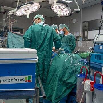 השתלה בבית החולים בילינסון | דוברות בית החולים בילינסון