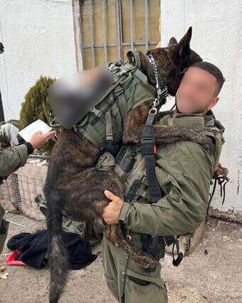 ל' וכלבו, לפני הפציעה | דובר צה״ל ל' וכלבו, לפני הפציעה | דובר צה״ל