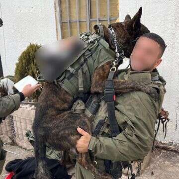 ל' וכלבו, לפני הפציעה | דובר צה״ל ל' וכלבו, לפני הפציעה | דובר צה״ל