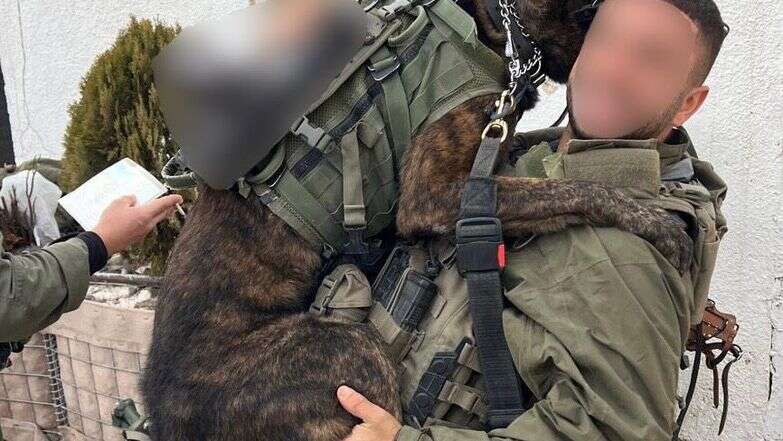 ל' וכלבו, לפני הפציעה | דובר צה״ל ל' וכלבו, לפני הפציעה | דובר צה״ל