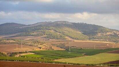 עמק יזרעאל | אדי ישראל - פלאש 90 עמק יזרעאל | אדי ישראל - פלאש 90