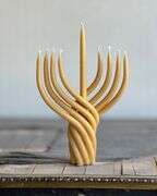 אליצור ליאון