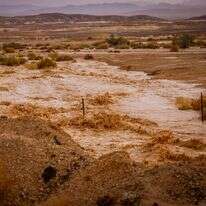 שיטפון בערבה, ארכיון | דוד כהן, פלאש 90
